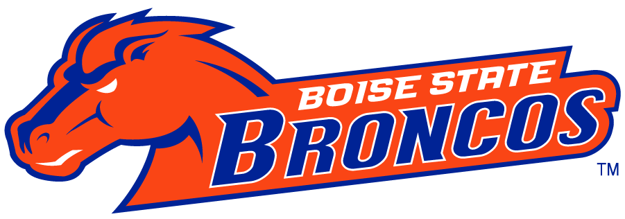 Boise State Broncos 2002-2012 Secondary Logo diy iron on heat transfer